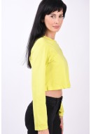 Women Blouse Jjxx Jxasta Reg Every Crop Limeade